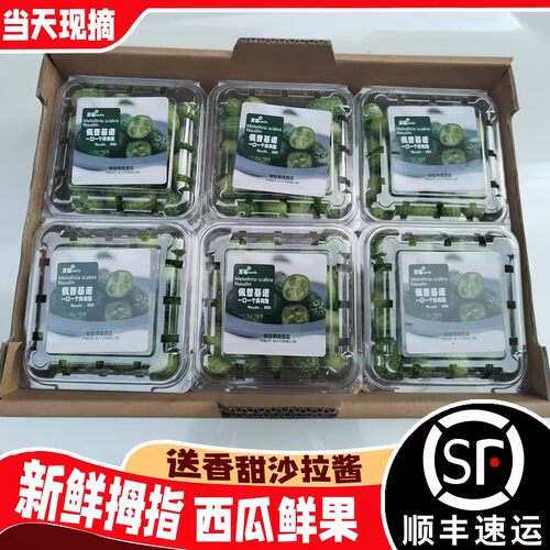 特色拇指西瓜鲜果新鲜网红绿瓢迷你小西瓜脆佩普基诺水果现摘顺丰