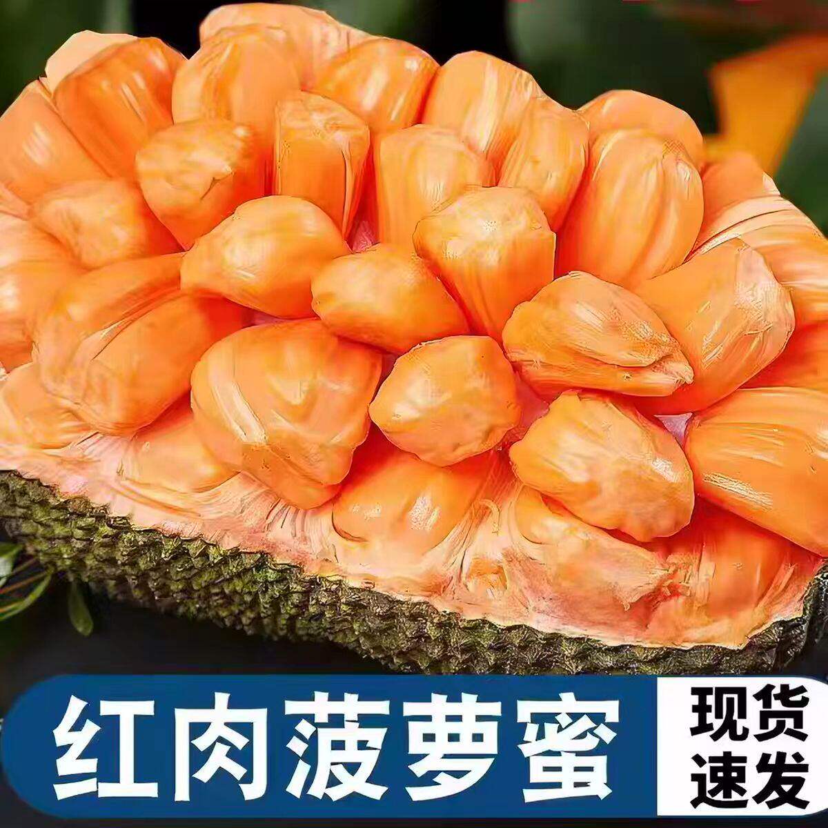 红肉菠萝蜜一整个红心波罗蜜当季新鲜水果8-22斤整箱发货