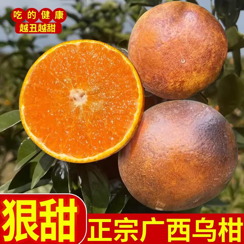 正宗广西黑皮乌柑花皮沃柑香甜当季新鲜乌柑橘水果乌橘子9斤现摘