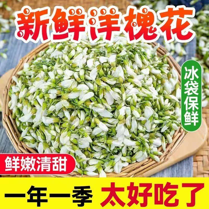 2026现摘秦岭野生新鲜洋槐槐花天然纯天然野菜花骨朵保温箱冷链发