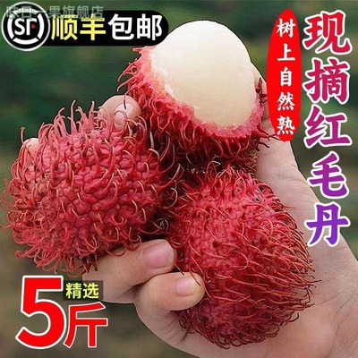 顺丰红毛丹水果新鲜毛荔枝5斤新鲜当季热带水果现货速发整箱包邮