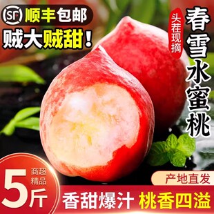 顺丰春雪水蜜桃5斤新鲜大桃水果当季桃子毛桃冬桃脆甜软硬整箱