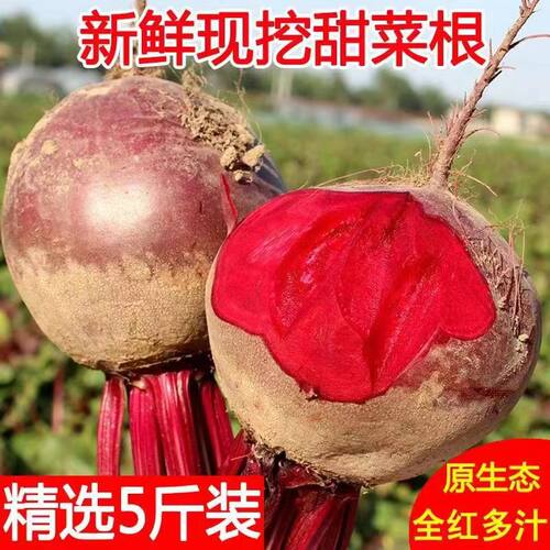 甜菜根新鲜红菜头红心萝卜透心红胭脂红紫菜头甜菜头甜菜根蔬菜L