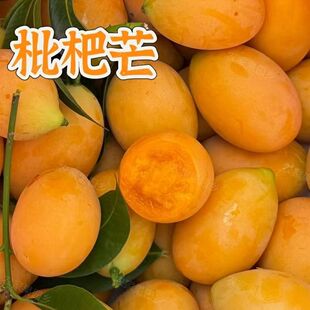 枇杷芒果新鲜水果小鸡蛋芒琵琶芒脆皮多汁酸罕见带皮吃当季枇杷芒