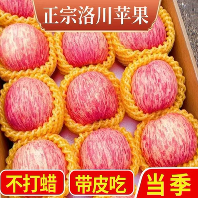 2025洛川苹果官方旗舰店正宗陕西延安红富士9斤脆甜大果产地直销