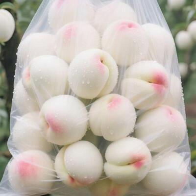 奶油大白桃应季新鲜水果脆甜桃子水蜜桃白如玉毛桃L
