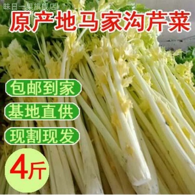 山东青岛平度马家沟空心芹菜 央视精品马家沟芹菜芯4斤包邮