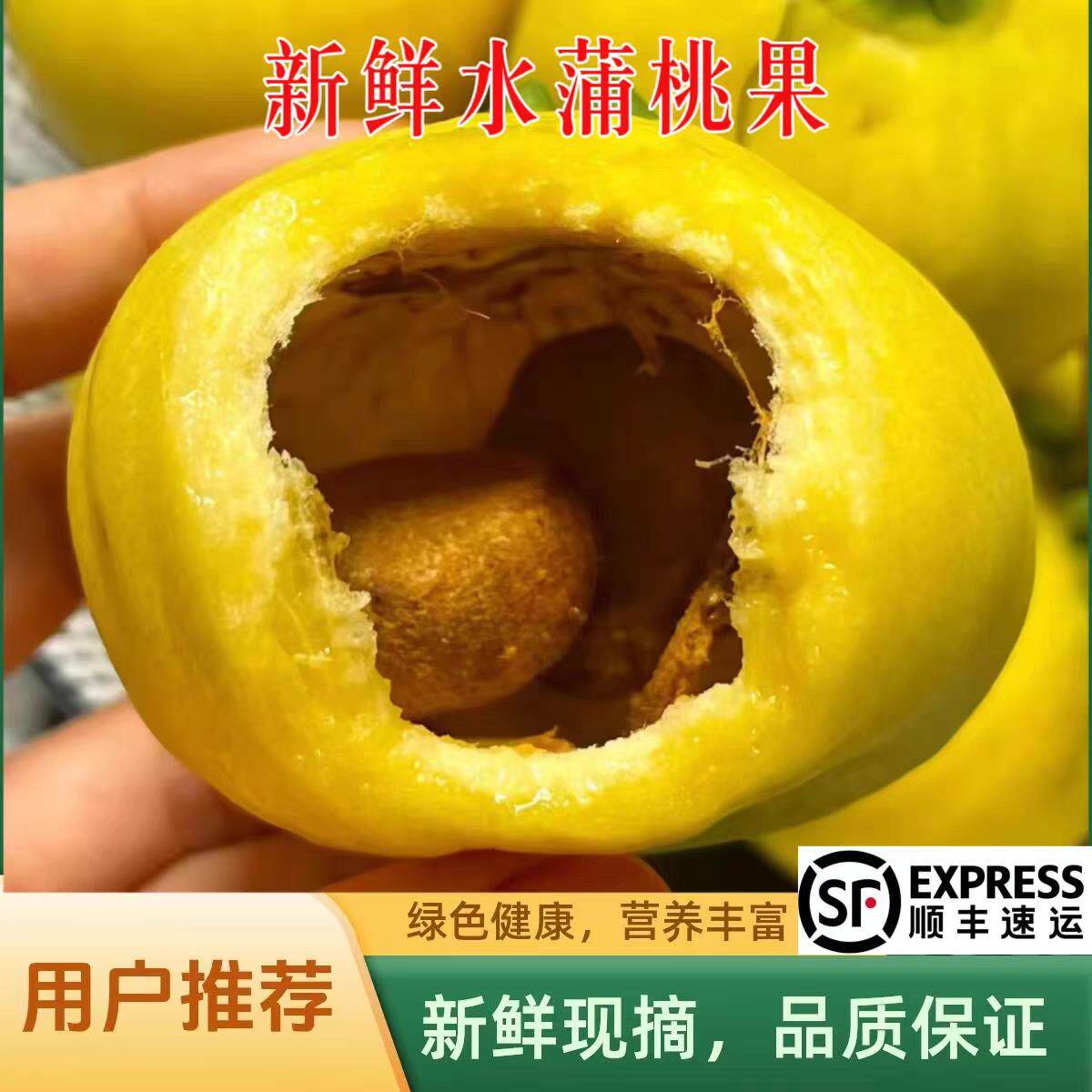 新鲜水蒲桃蒲桃铃铛果1斤叮当果水蒲桃菩提风铃果水番桃应季水果