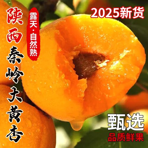 陕西大黄杏子新鲜水果5斤当季特大巨蜜金太阳杏整箱包邮酸甜杏子