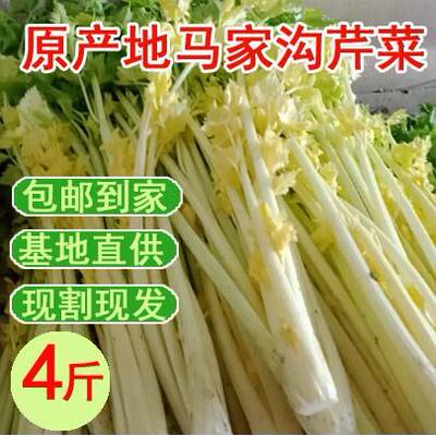 山东青岛平度马家沟空心芹菜 央视精品马家沟芹菜芯4斤包邮