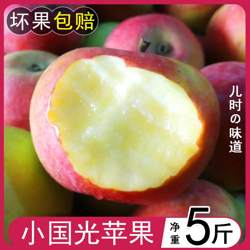小国光苹果笨果新鲜水果东北国光苹果不打蜡不套袋 5斤包邮图片