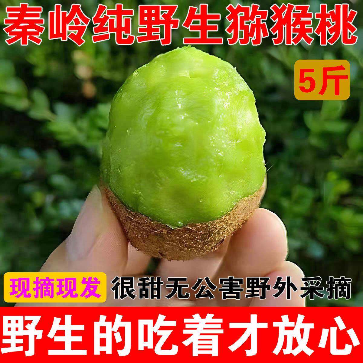 2025现摘现发秦岭纯野外生猕猴桃甜新鲜当季水果陕西小猕猴桃泡酒