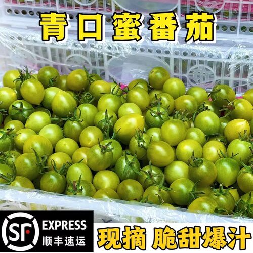 青口蜜圣女果绿色小番茄新鲜绿千禧超甜即食小柿子孕妇生吃顺丰