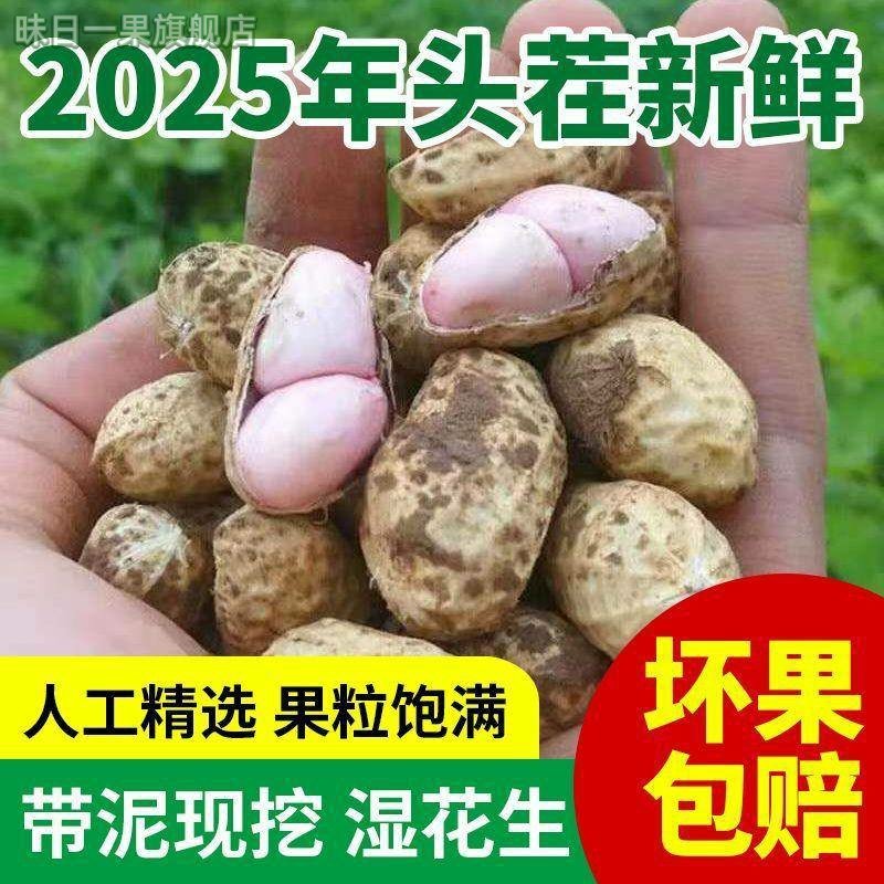 2025年新鲜花生湿带壳带泥粉皮花生现挖花生可水煮花生生吃湿花生,水产肉类/新鲜蔬果/熟食,新鲜花生,淘宝优惠券,粉丝福利购,淘宝优惠卷