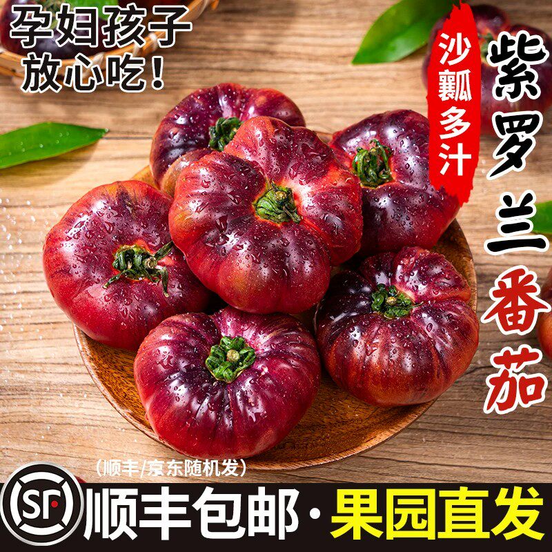 山东寿光紫罗兰番茄紫元帅沙瓤西红柿新鲜现摘火山番茄紫番茄顺丰