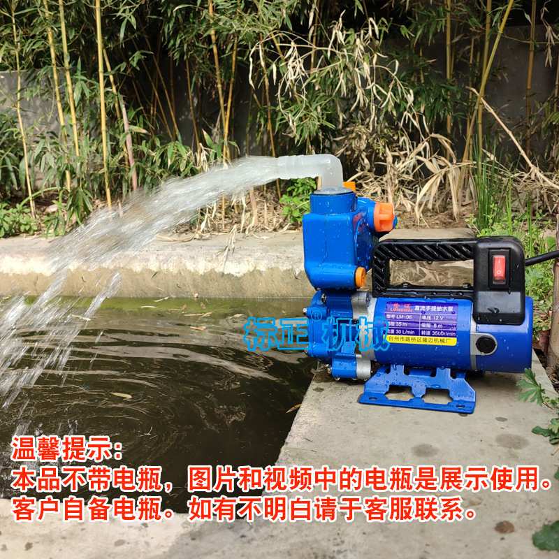 直流手提抽水泵12V24V48V60V72V小型便携吸水泵水肥浇水淋菜洗车