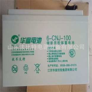 12V50AH通讯机房 通信基站 GFM 华富铅酸蓄电池6