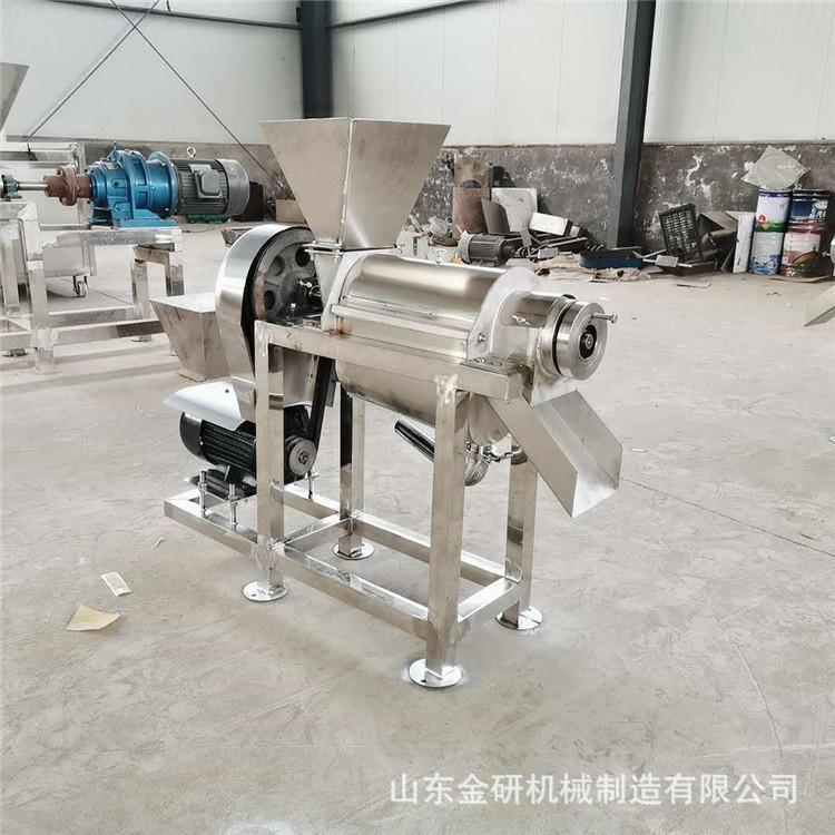 商用姜汁大型榨汁机 工业果蔬樱桃打浆机 果汁饮料脱汁机