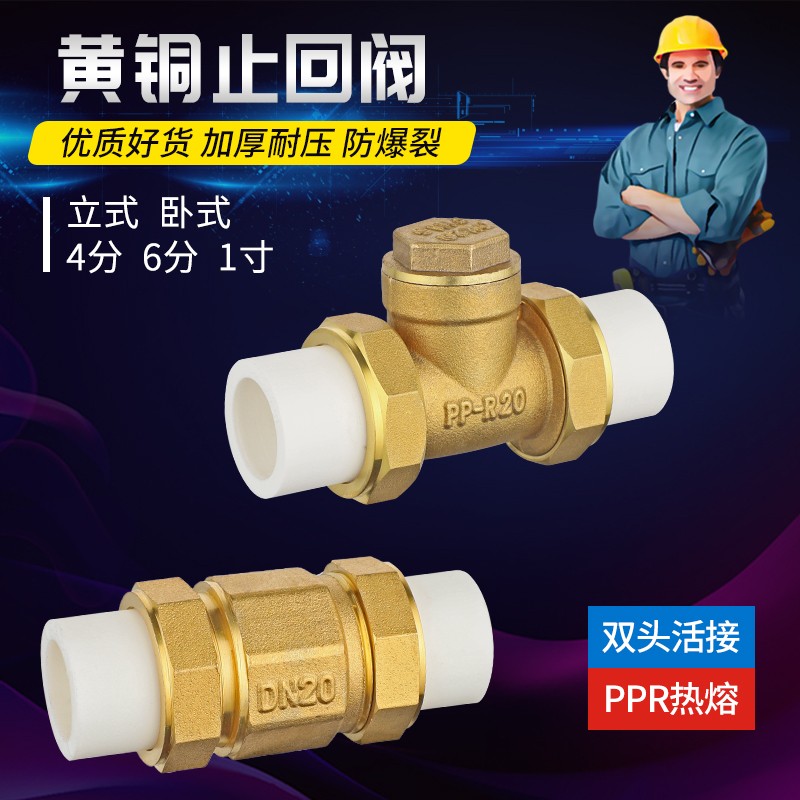 PPR止回阀双活接4分20单向阀立式卧式水管水表逆止阀6分25/1寸32