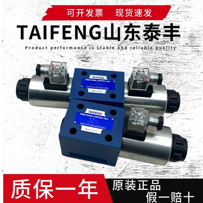 TAIFENG泰丰4WE10D-50/AG24NZ4 电磁阀 4WE10Y E J H G/AW220NZ5L