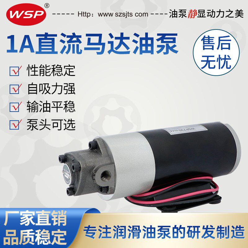 电动抽油泵12V汽车船用叉车保养46S店专用 自吸泵 机油齿轮泵24V