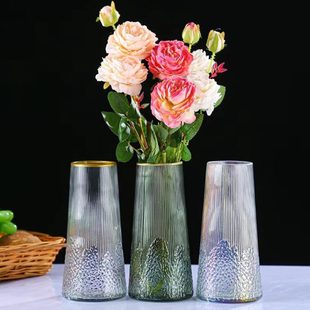 饰 花瓶摆件客厅插花水养玻璃富贵竹鲜花落地创意简约复古轻奢风装