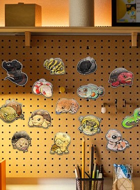 SuperRep爬虫爬宠个性冰箱贴蜥蜴守宫蛙陆龟蛇爬宠周边立体磁吸贴