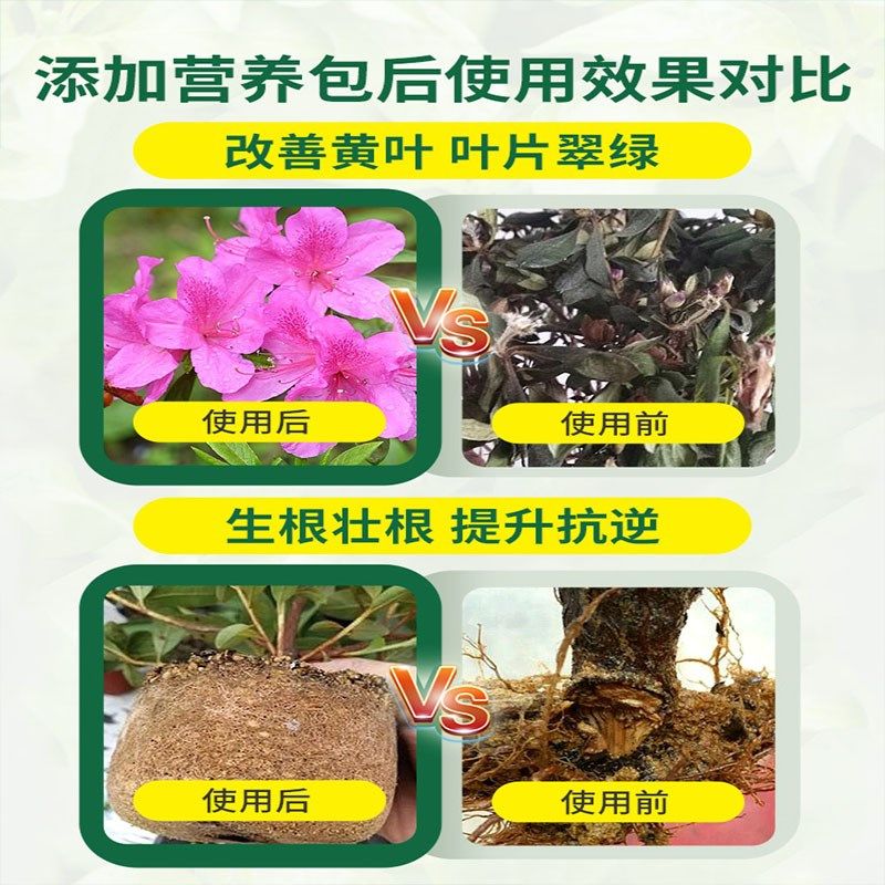 杜鹃花专用促花营养液专用肥料叶枯萎发黄掉花苞黑斑不开花怎么办,鲜花速递/花卉仿真/绿植园艺,家庭园艺肥料,淘宝优惠券,粉丝福利购,淘宝优惠卷