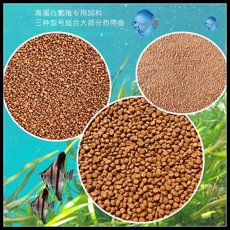 七彩神仙燕鱼金波子迷你鹦鹉孔雀鱼繁殖金鱼开口专用高蛋白饲料