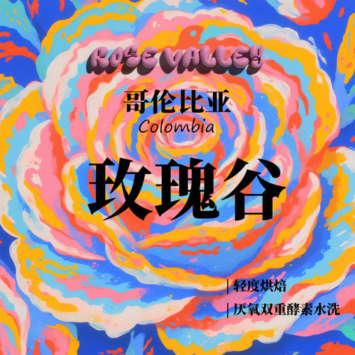哥伦比亚玫瑰谷ROSE VALLEY厌氧双重酵素水洗手冲咖啡豆下单烘焙