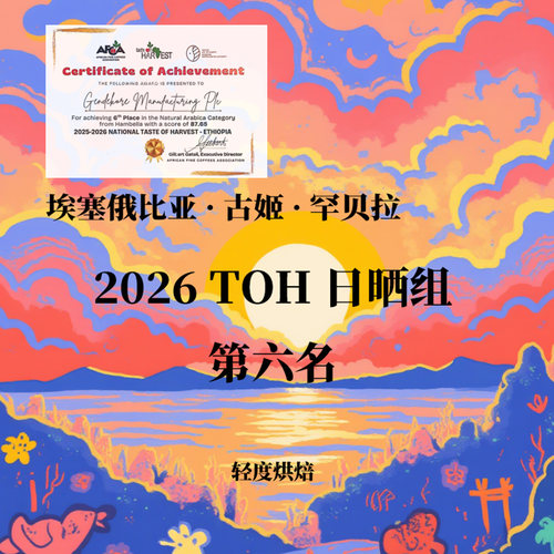 埃塞俄比亚古姬Guji罕贝拉 2026TOH日晒组第六名手冲单品咖啡豆