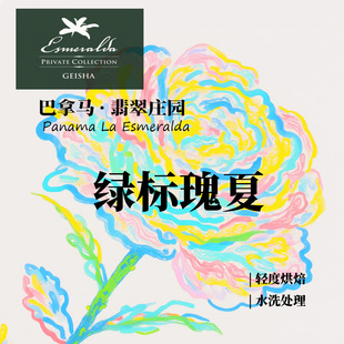 巴拿马翡翠庄园绿标瑰夏Geisha 水洗处理 手冲单品咖啡豆下单烘焙