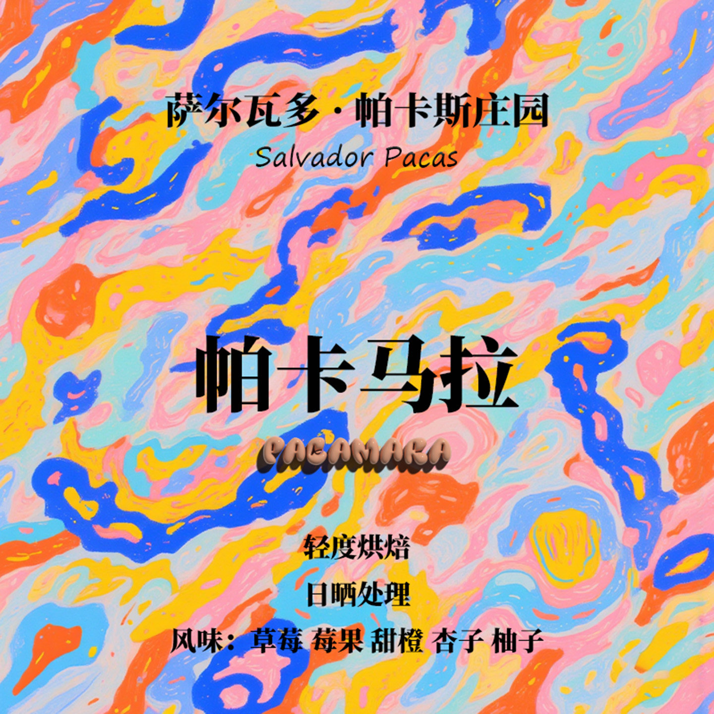 萨尔瓦多帕卡马拉日晒浅烘咖啡豆图片