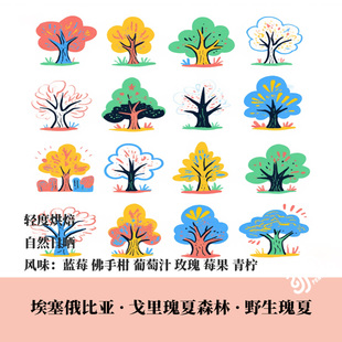 埃塞俄比亚戈里瑰夏森林野生瑰夏日晒处理手冲单品咖啡豆下单烘焙