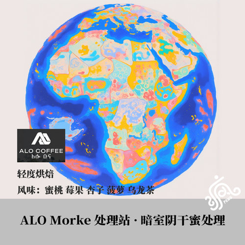 埃塞俄比亚ALO Morke处理站 暗室阴干蜜处理74158手冲单品咖啡豆
