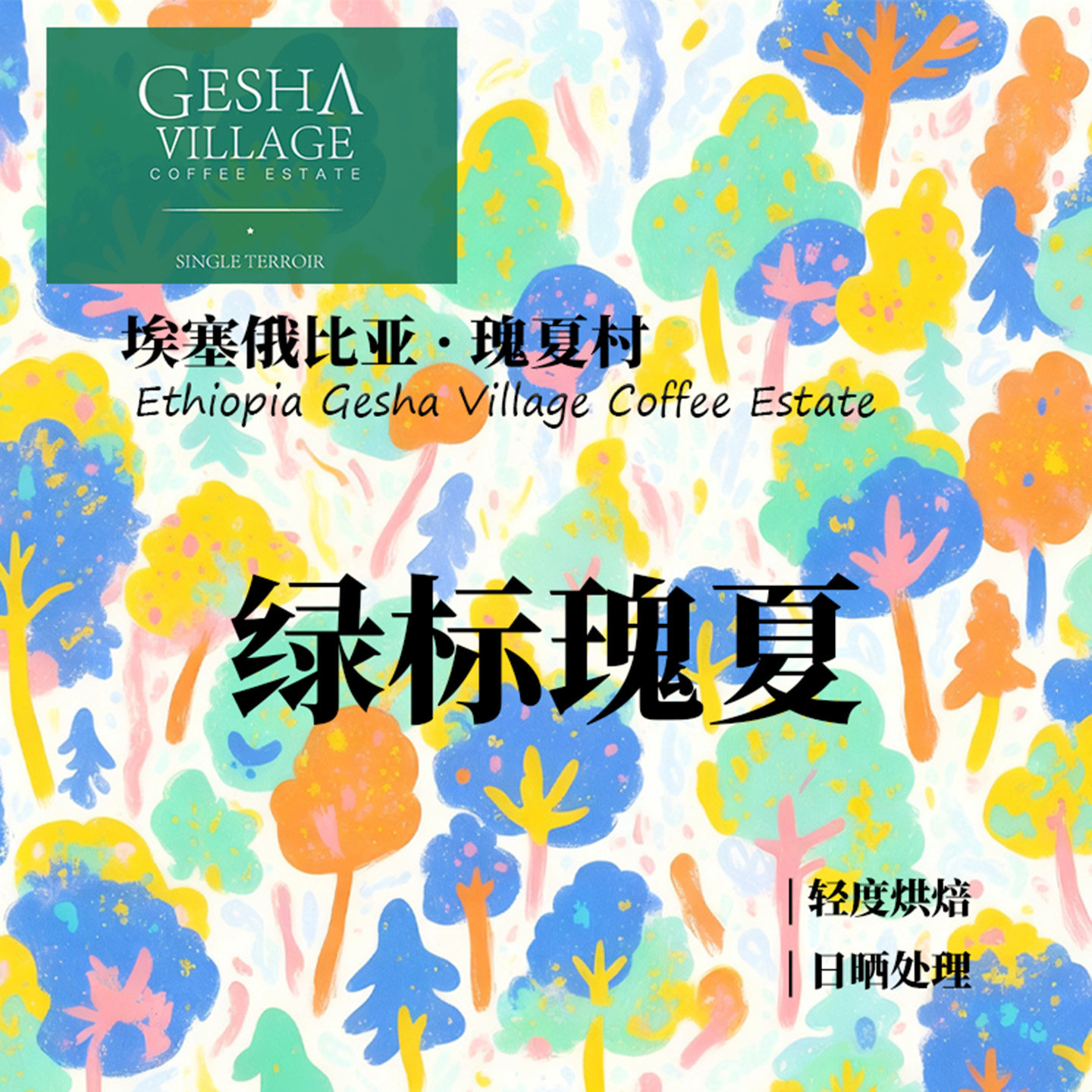 埃塞俄比亚瑰夏村Shewa-Jibabu 绿标Gori瑰夏日晒手冲单品咖啡豆