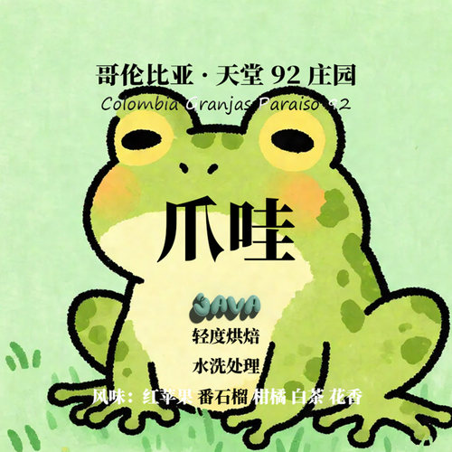 哥伦比亚天堂爪哇Java水洗咖啡豆