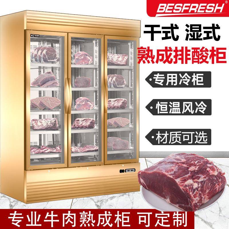 厂家定制干式熟成柜牛排柜湿式熟成排酸柜保鲜冷藏展示柜冰箱