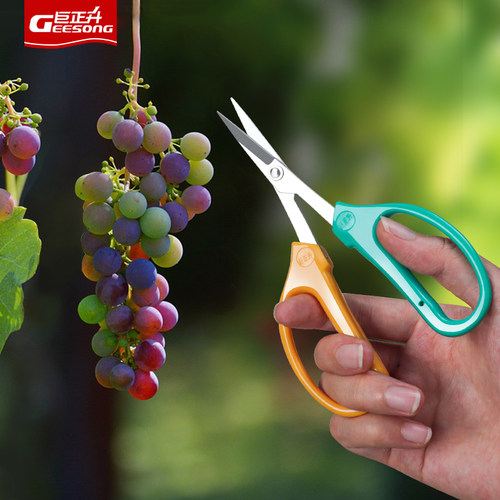 翘头葡萄修果专用剪刀疏果稀果剪花椒采果蔬果剪枇杷橘子采摘修枝