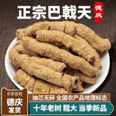 广东德庆巴戟天中药材正品 官方旗舰店搭配杜仲牛大力泡酒煲汤材料