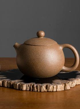 天然木SG001化石原石切片桌面摆件博饰古架师子树化石装设计格样