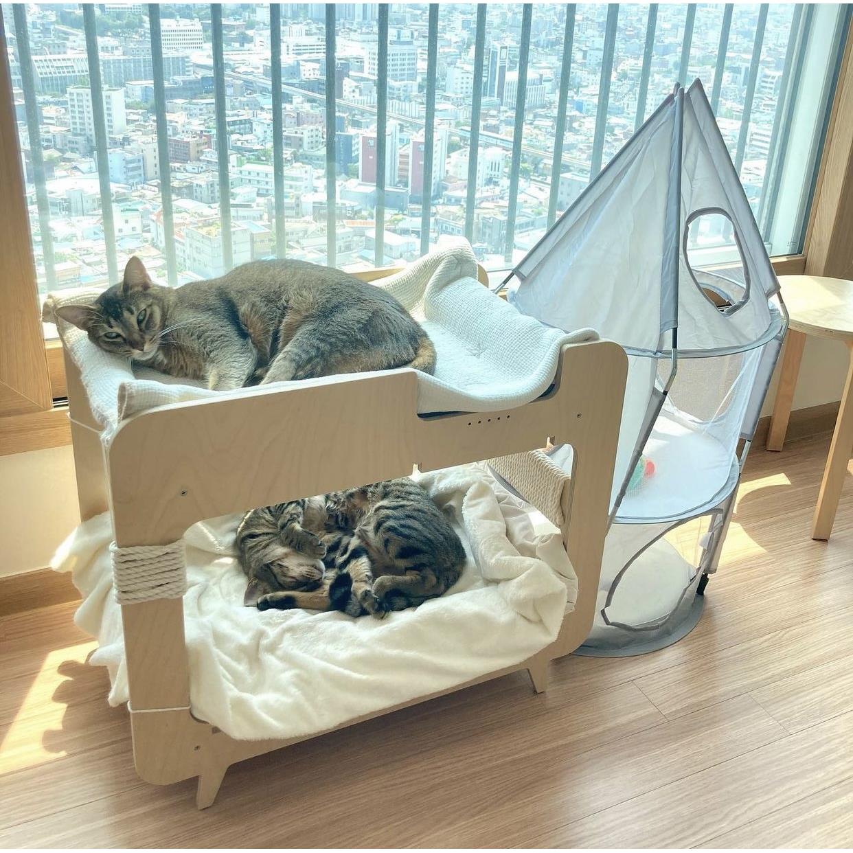 猫咪二胎计划实木猫窝猫床大号双层上下铺多猫家庭ins风猫抓板窝