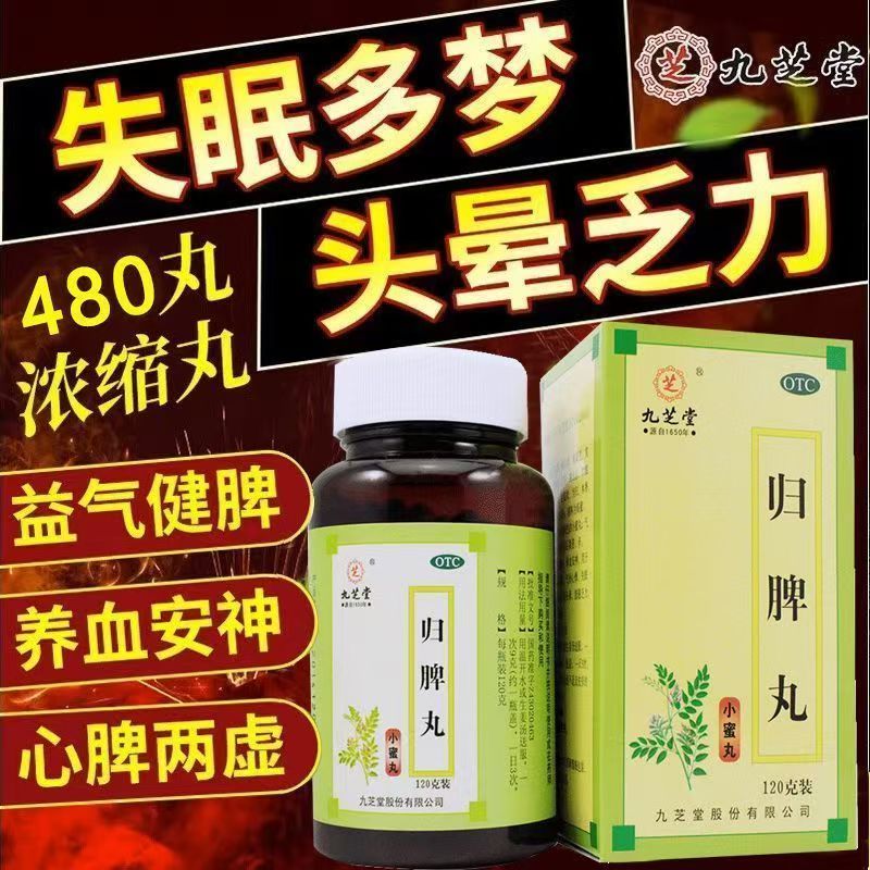 没胃口没精神 心脾两虚失眠多梦 头晕心慌气短 九芝堂归脾丸120g