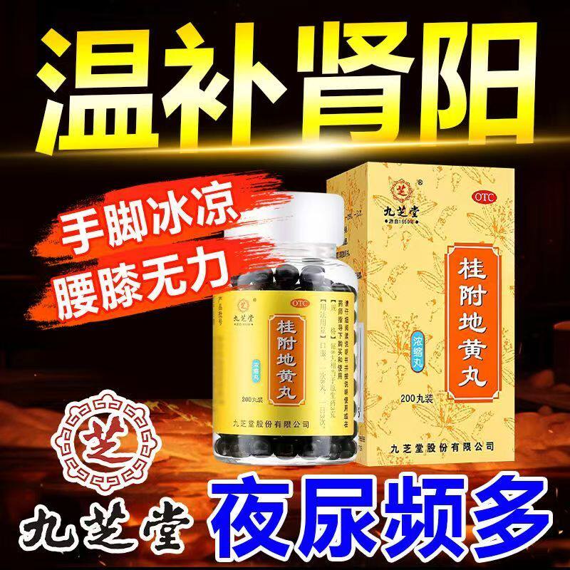 缓解腰膝酸冷尿频 温补肾阳 益气九芝堂桂附地黄丸200丸 畏寒肢凉