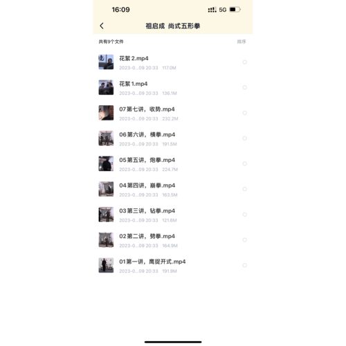 祖启成尚式五行拳