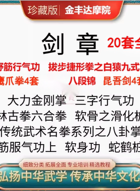 剑章20套鹰爪拳4套昆吾剑4套传武呼吸真法六合拳拔步捷形视频课程