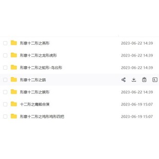 万千形意拳养生功夫形意十二形老鸡形马形燕形马形鹰熊合演鹞蛇形