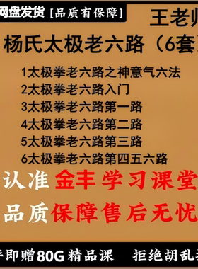 王氏良师杨氏太极老六路课程合集 入门 +神意气六法+1-6潘路