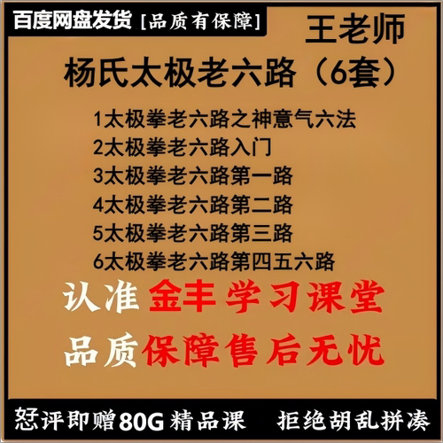 王氏良师杨氏太极老六路课程合集 入门 +神意气六法+1-6潘路