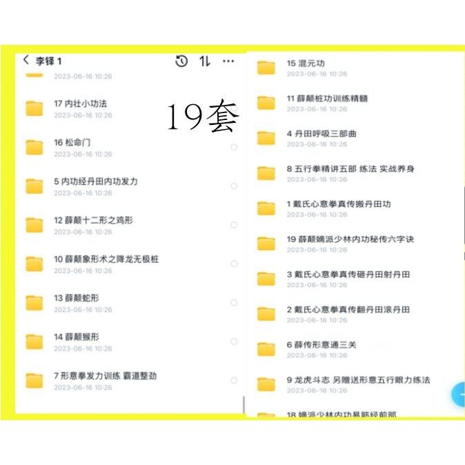 李铎薛颠桩功精髓形意通三关内功经内壮象形术形意拳发力戴氏心意